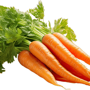 Organic Carrot
